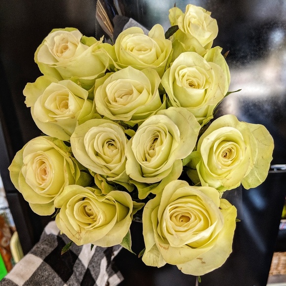 Meet your Posher, Susen - Picture 5 of 7